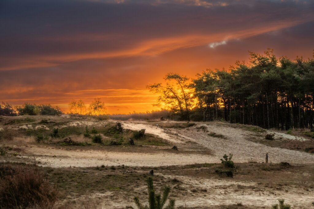 safaritent Veluwe