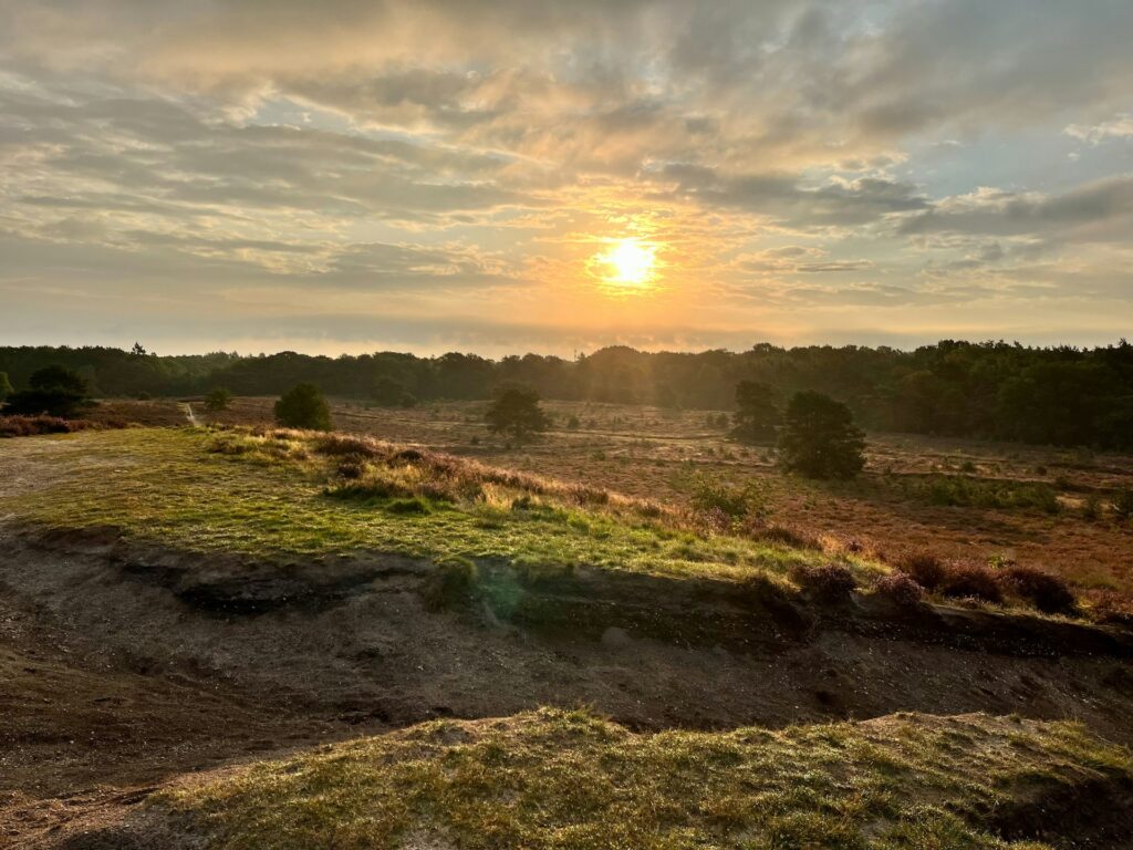safaritent Veluwe