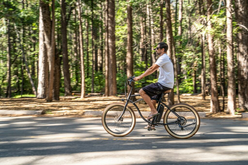 fietsaccu reviseren kosten